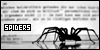  The Spider Fanlisting